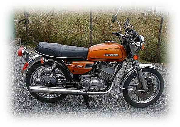 arnegt2501973.jpg (50425 bytes)