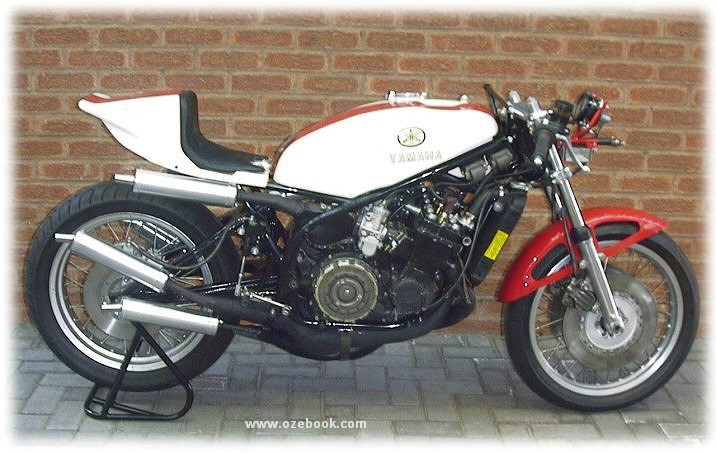 TZ750_3.jpg (78357 bytes)