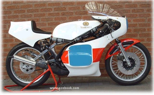 tz350G1.jpg (69035 bytes)