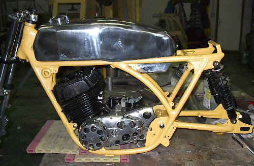 newt500001s.jpg (49965 bytes)