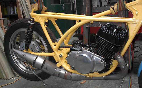 newt500002s.jpg (53792 bytes)