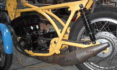 newt5000031s.jpg (52161 bytes)