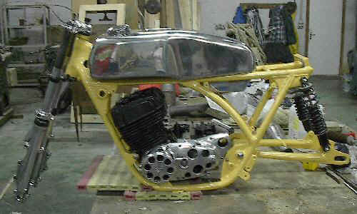 newt500003s.jpg (45558 bytes)