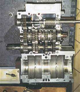 saiad4.jpg (17623 bytes)