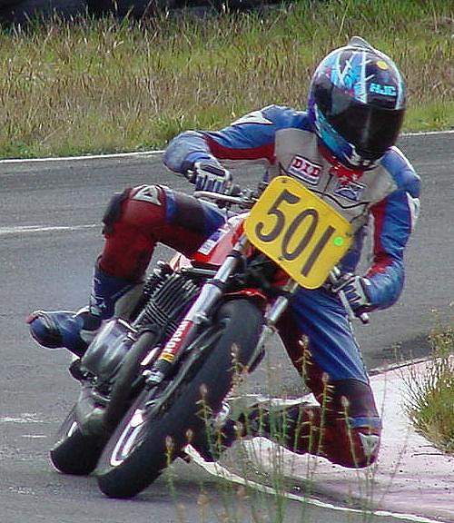 tris.JPG (65099 bytes)