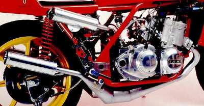 seel1-1s.jpg (19161 bytes)