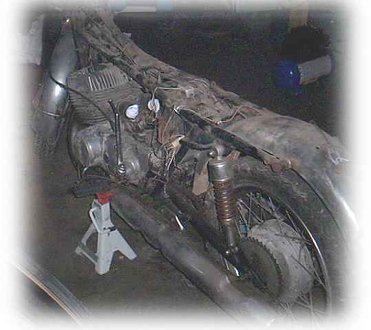 wayne1.jpg (23005 bytes)