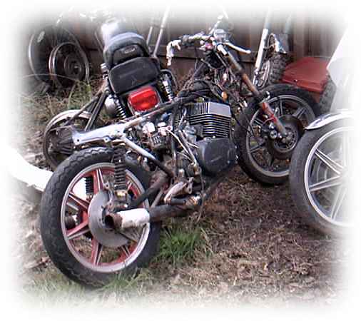 wayne2.jpg (29825 bytes)